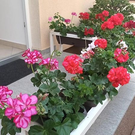 זאדאר Apartment Marelja - Private Parking And Balcony מראה חיצוני תמונה