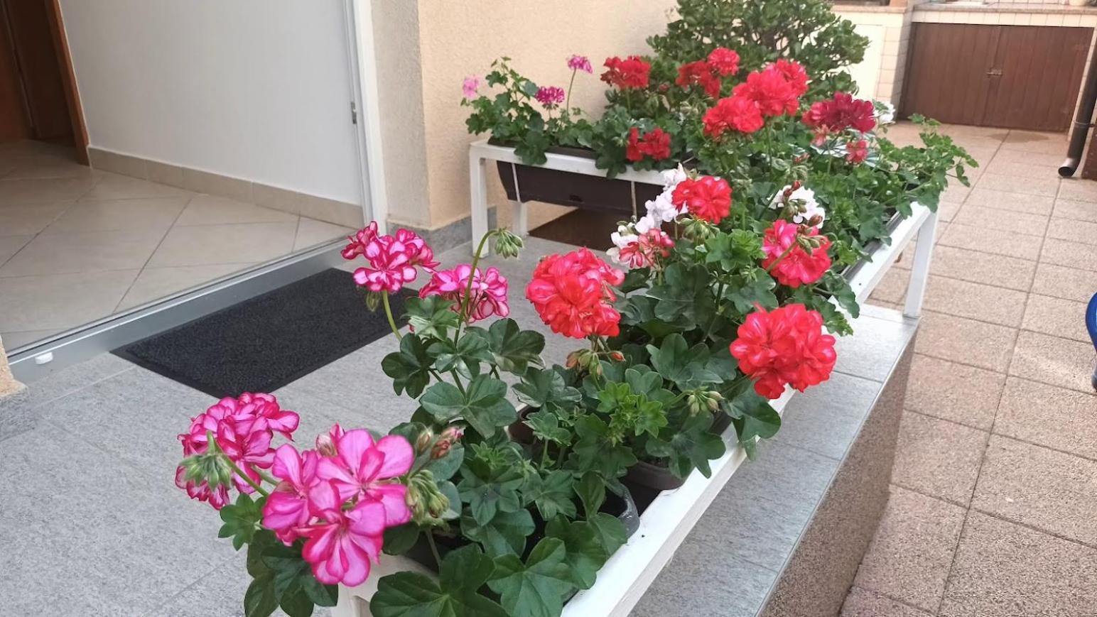 זאדאר Apartment Marelja - Private Parking And Balcony מראה חיצוני תמונה